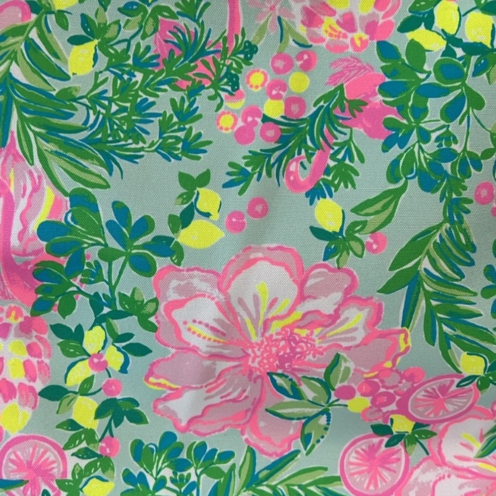 Lily Pulitzer Wine Carrier | NWT - Picture 4 of 10